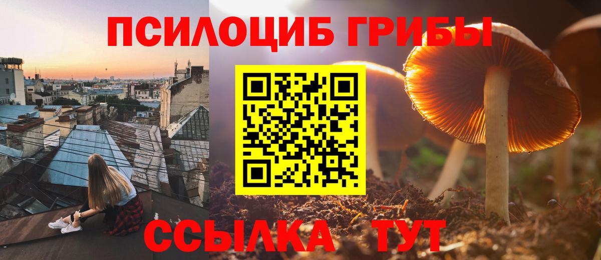 Краснокаменск  Псилоцибиновые грибы MAGIC MUSHROOMS  Вход с VPN  Псилоцибиновые грибы Psilocybe 