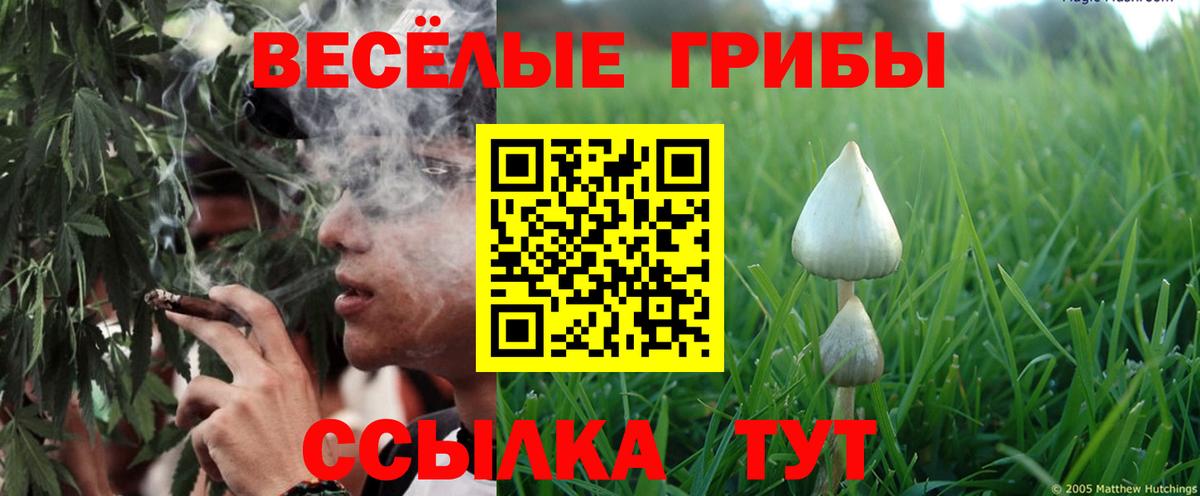 Псилоцибиновые грибы MAGIC MUSHROOMS Краснокаменск